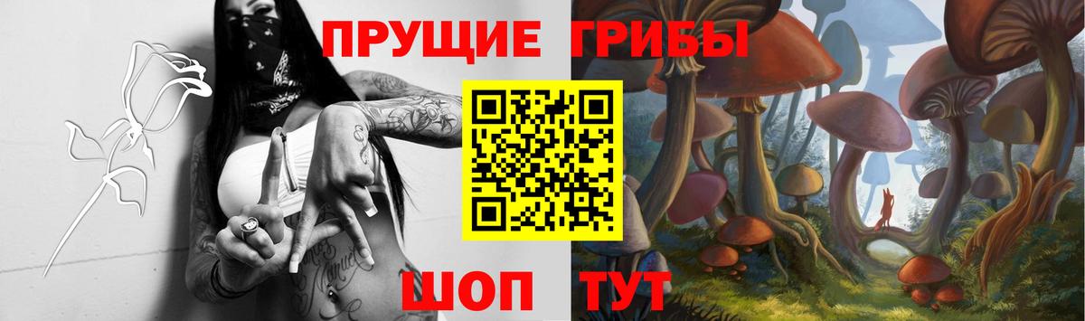 Кубинка  Псилоцибиновые грибы Psilocybe  Вход с VPN 